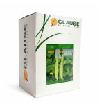 HM Clause - F1 Hybrid Sponge Gourd Seeds  (तु्रई बीज) - Image 3