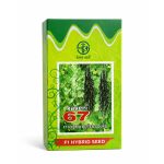 Kaveri 67 F1 Hybrid Bitter Gourd Seeds (करेला बीज) - Image 3