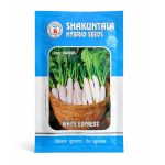 Shakuntala White Express Hybrid Radish Seeds (मूली बीज)
